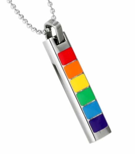 Regenbogen Anhänger mit Kette LGBT Lesbisch Gay Homo Rainbow Schmuck Pride 